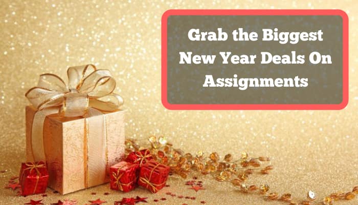 New Year Offers on Assignments